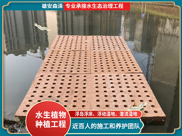 浮动湿地施工现场 (3)